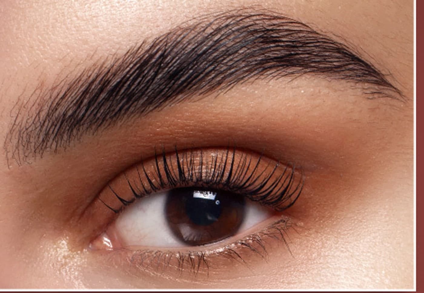 Close detail of a shaped brow and lash line